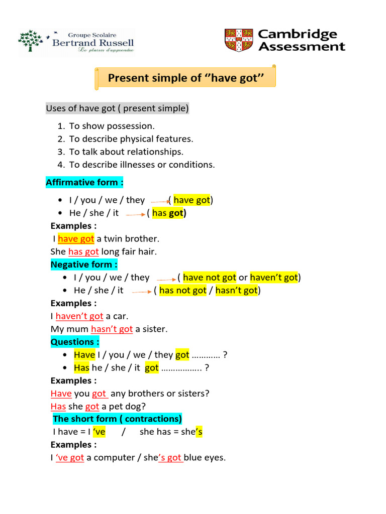 Have Got (Present Simple) | PDF