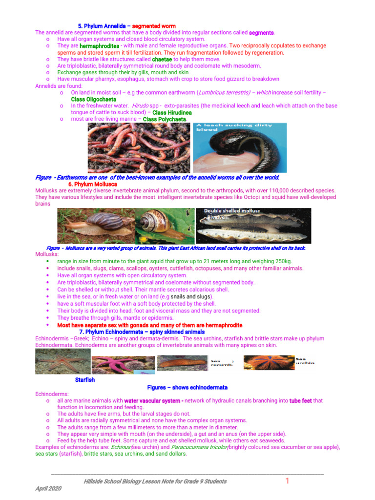 Biology Grade 9 Note | PDF