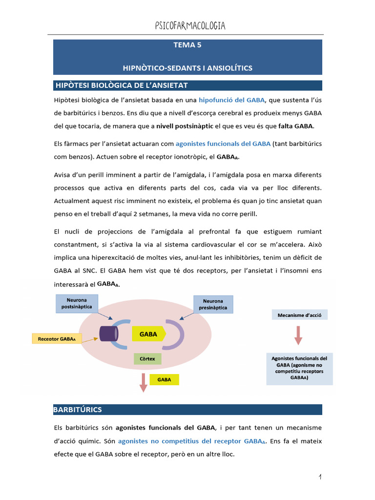 Apunts Tema 5 | PDF