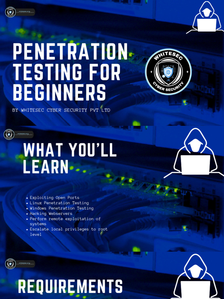 PENETARTION TESTING COURSE FOR BEGINNERS | PDF