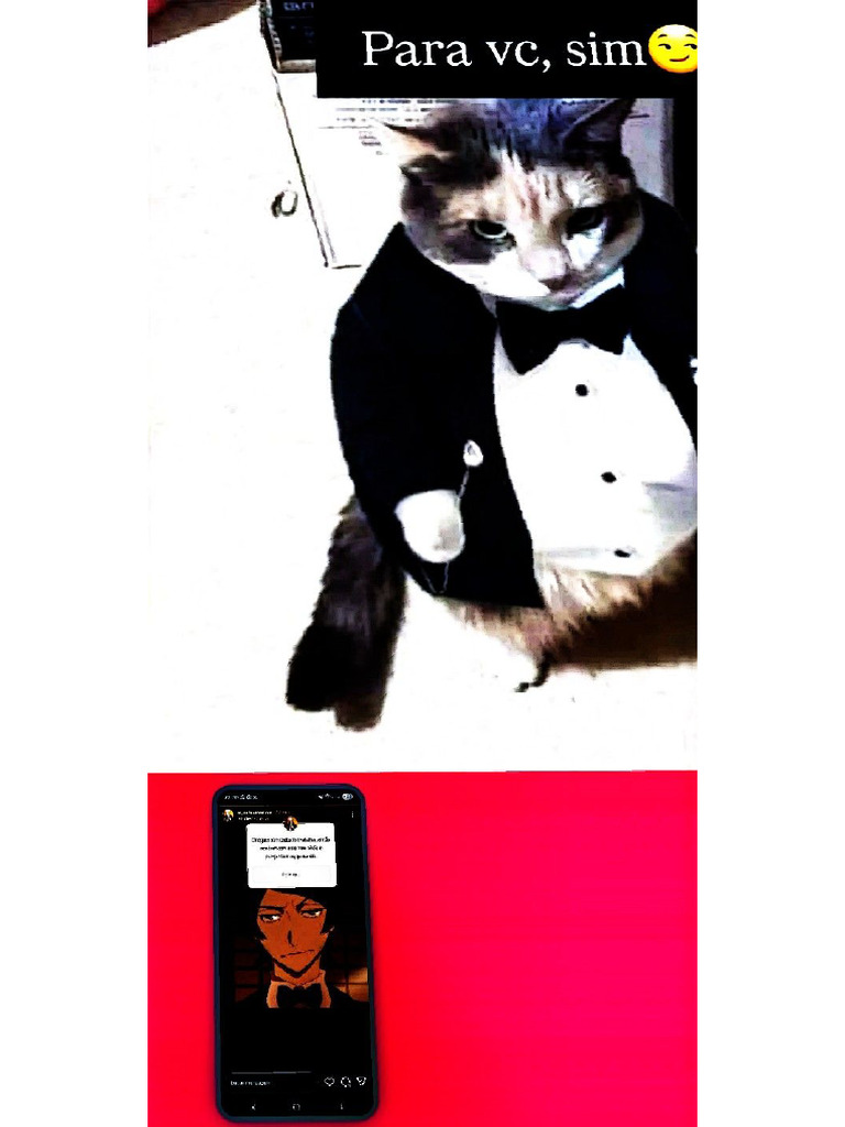 Sim | PDF