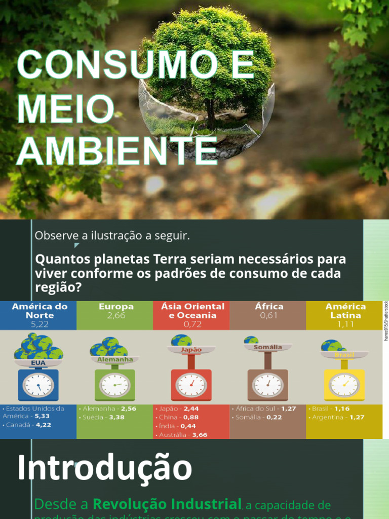Meio Ambiente e Consumo | PDF