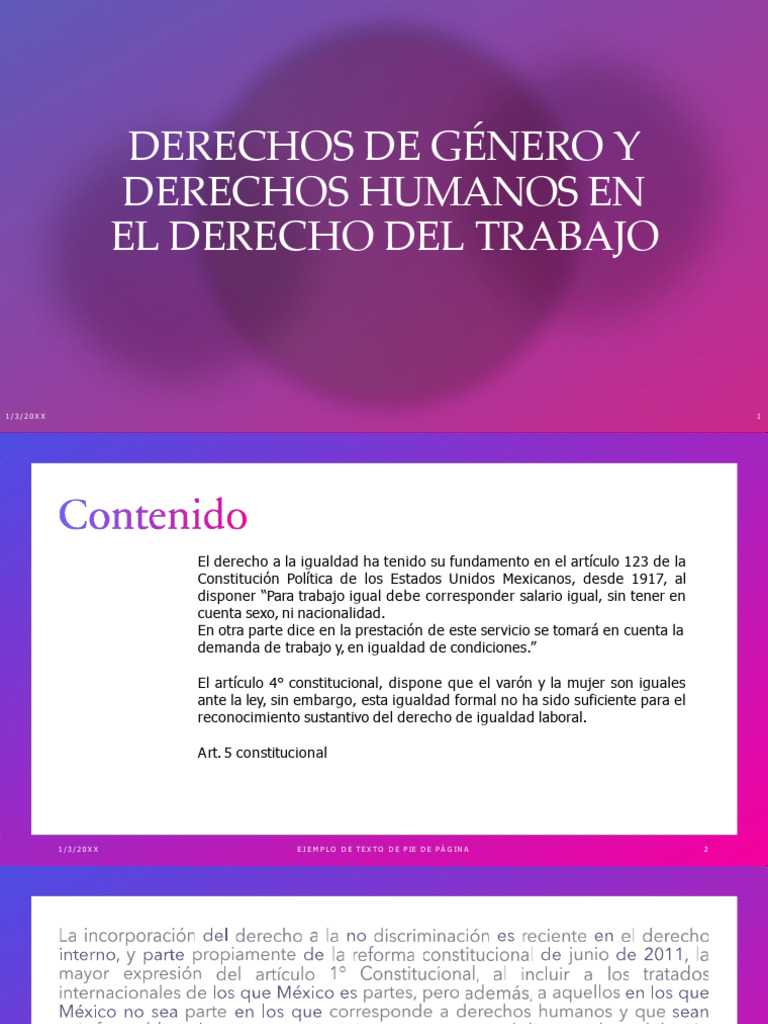 8. DERECHOS DE GENERO Y DERECHOS HUMANOS EN EL DERECHO DEL TRABAJO | PDF