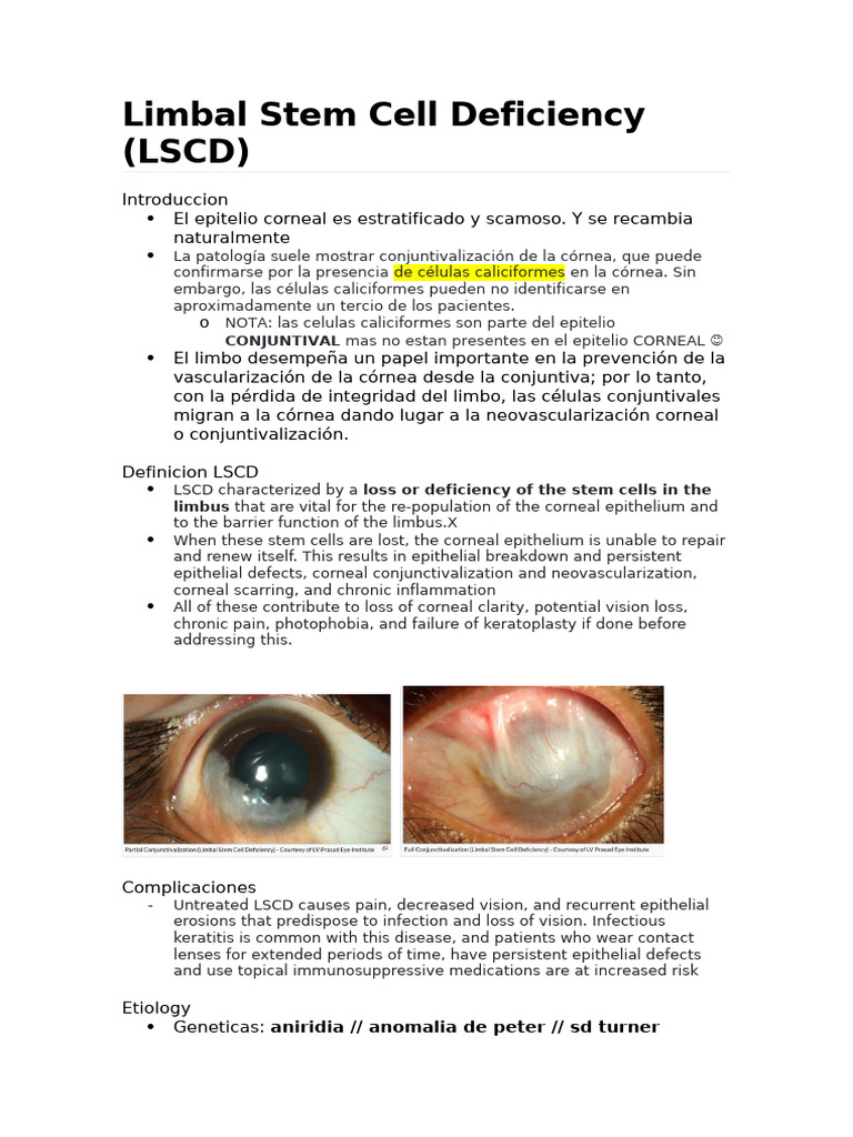 Limbal Stem Cell Deficiency | PDF