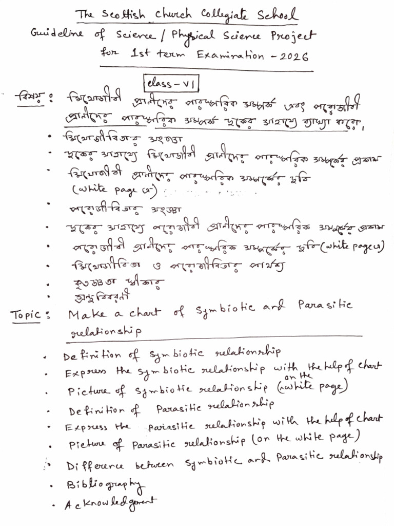 Physical science project guideline for first term 2026 | PDF