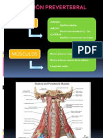 Región Prevertebral y Parotidea