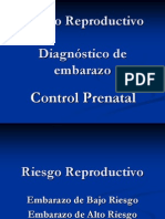 3 Dx Embarazo Riesgoreproductivo Contrrolprenatal 090528180020 Phpapp01
