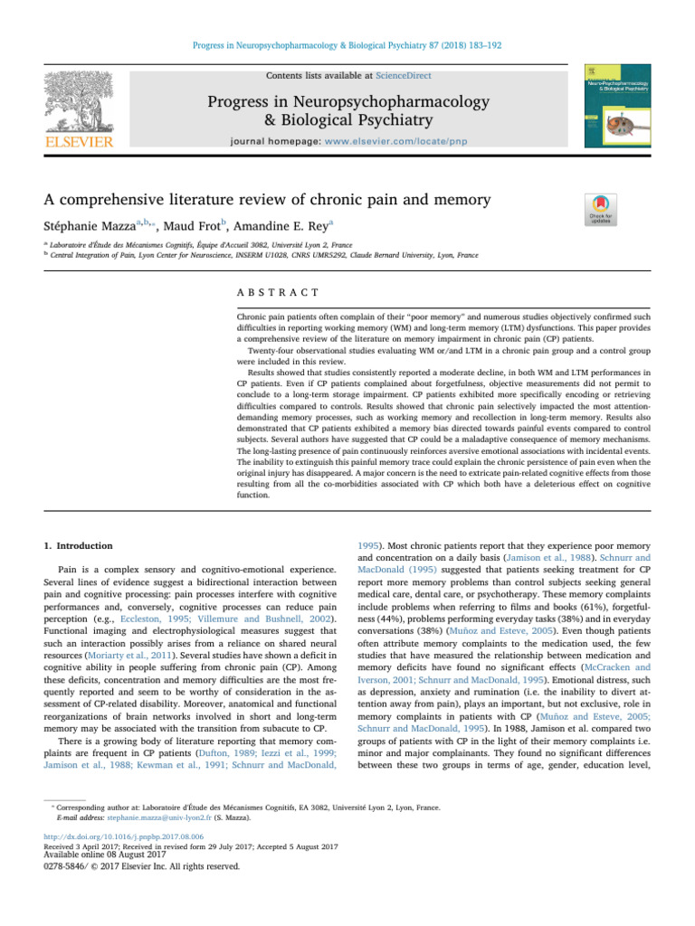 A Comprehensive Literature Review of Chronic Pain and Memory | PDF ...