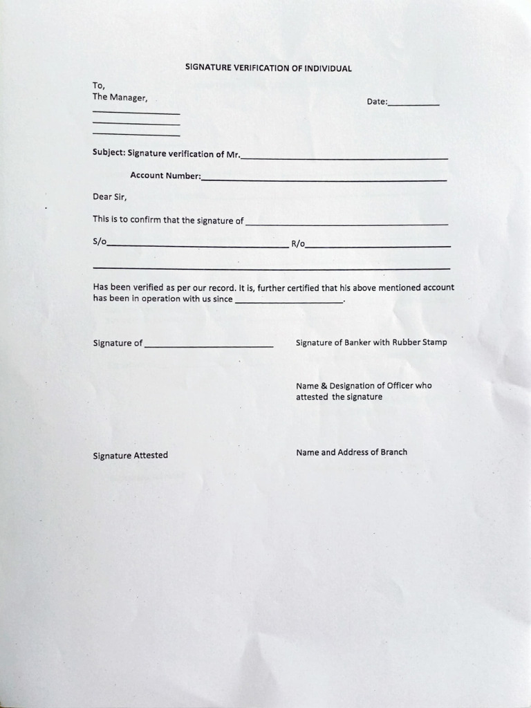 BSV | PDF