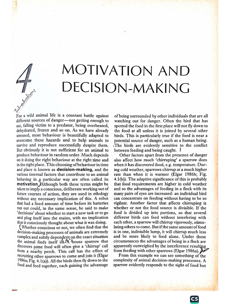 Motivation & Decision Making | PDF