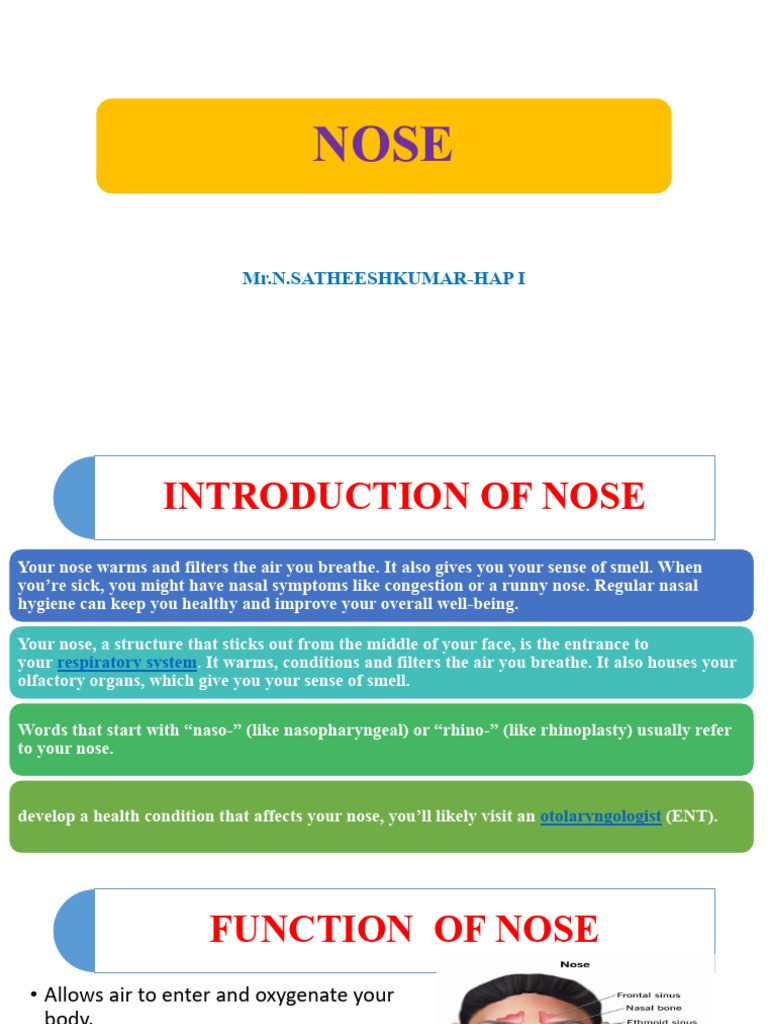 NOSE | PDF