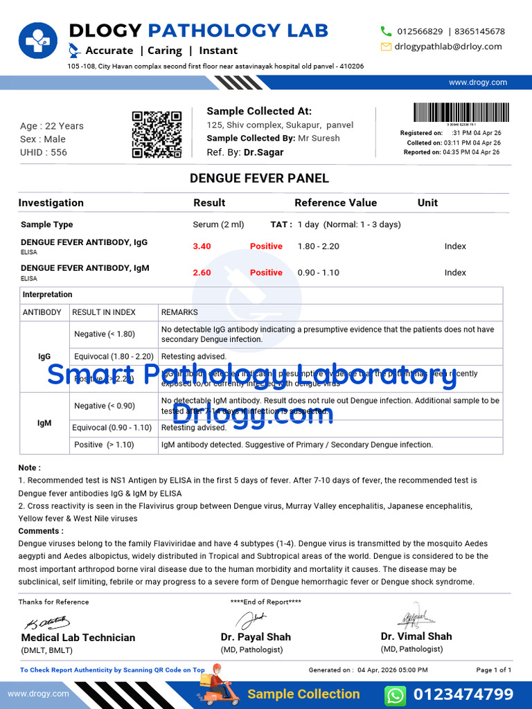 Positive Dengue Fever Test Report Format Example Sample Template Drlogy ...