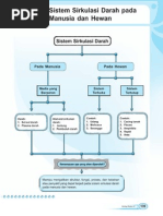 9800 Koleksi Gambar Struktur Hewan Vertebrata Gratis Terbaru