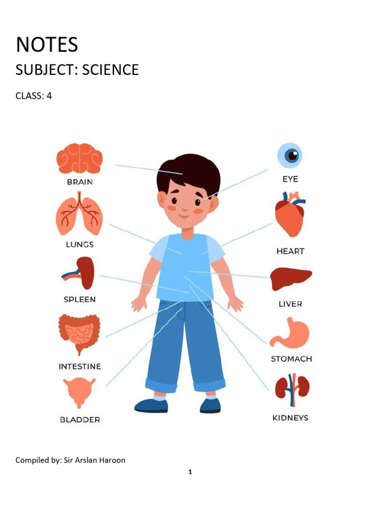 Study Notes New Oxford Primary Science Grade 4 | PDF | Muscle | Machines