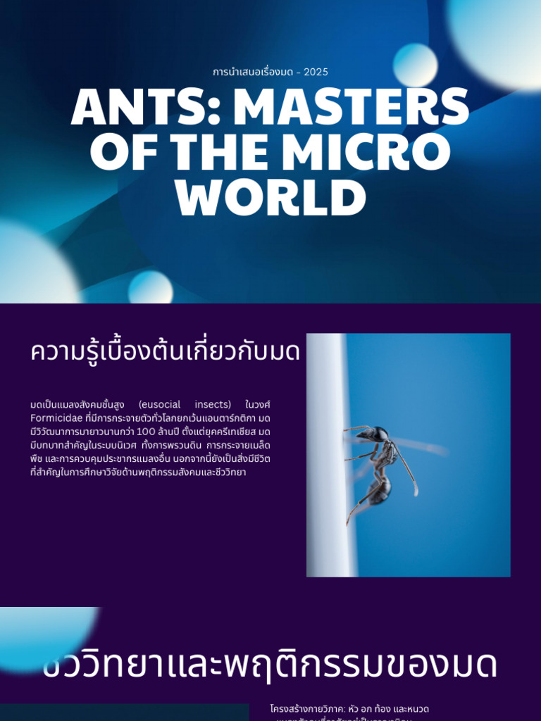 Ants | PDF