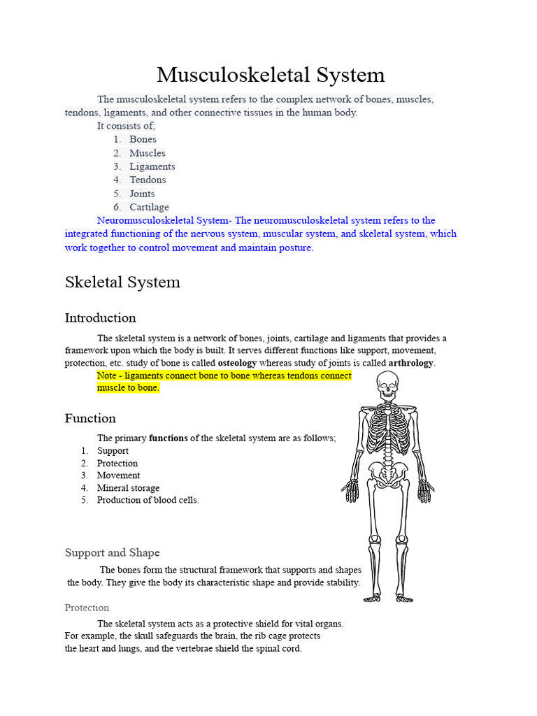 musculoskeletal | PDF