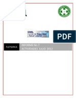 Reporte Mensual Julio CSSL Inpsasel 2012