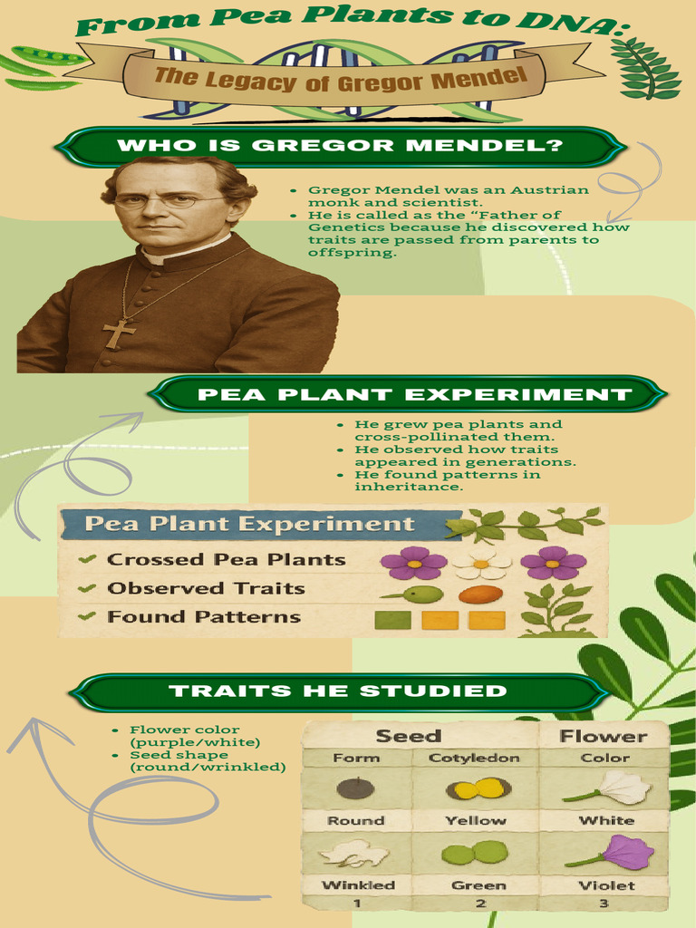 About Curators Education Infographic 20260405 012105 0000 | PDF