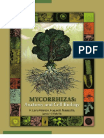 Peterson, r l &amp; Massicotte, h b - Mycorrhizas - Anatomy and Cell Biology