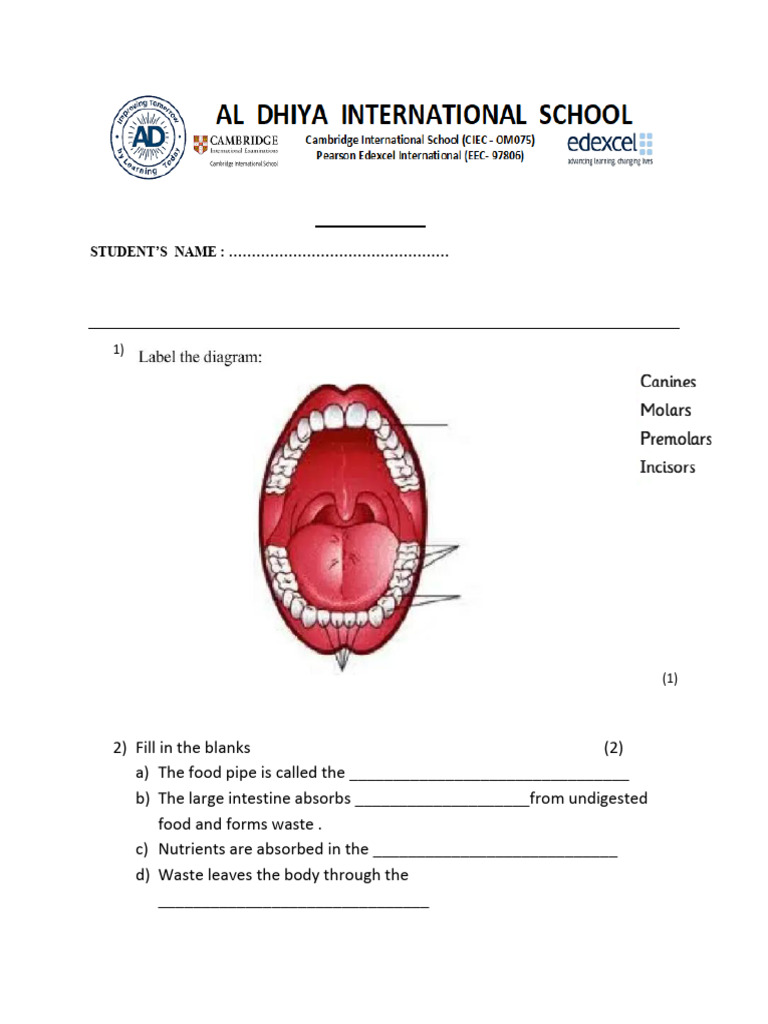 Grade 5 Science -4 | PDF
