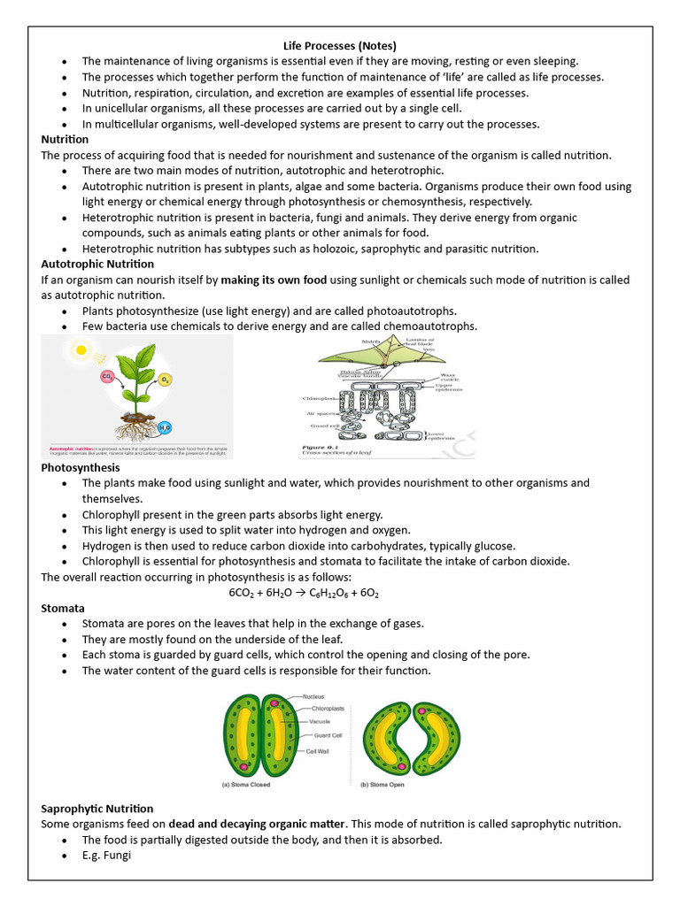 Life Processes My Notes_2026-27 | PDF | Respiratory System | Digestion