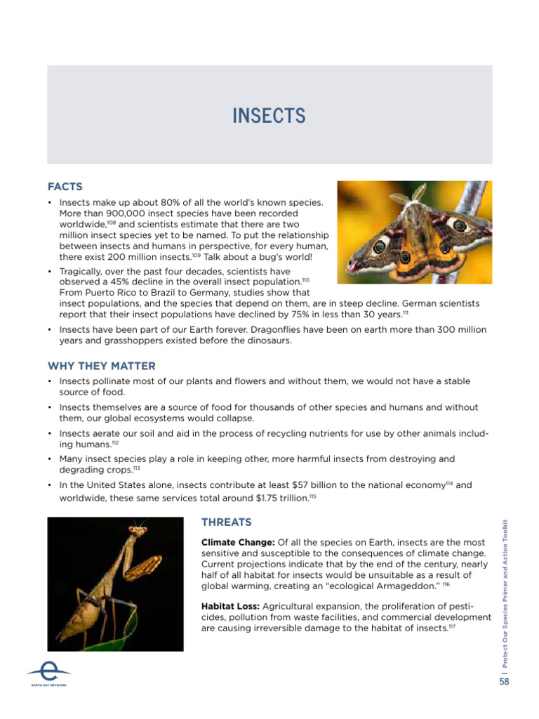 Insects | PDF
