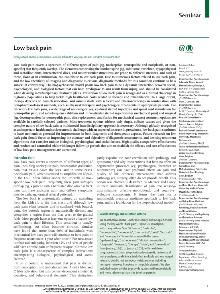 Low Back Pain | PDF | Back Pain | Low Back Pain