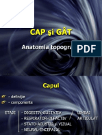 Anatomia Topografica (Cap&gat)