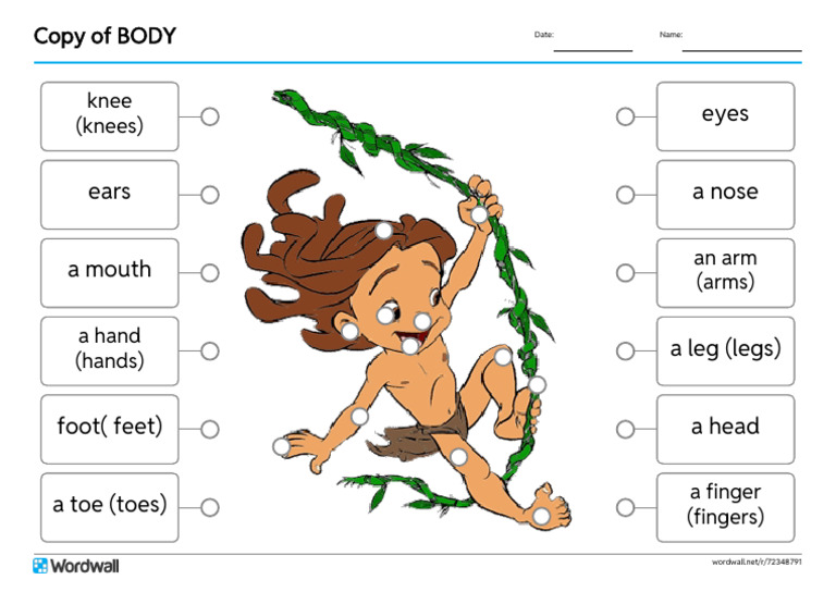 Copy of Body Labelled Diagram | PDF