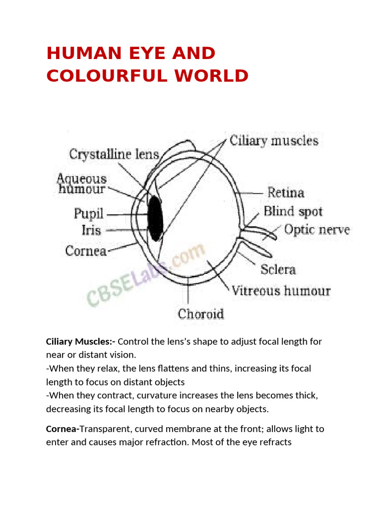 HUMAN EYE AND COLOURFUL WORLD NOTES | PDF