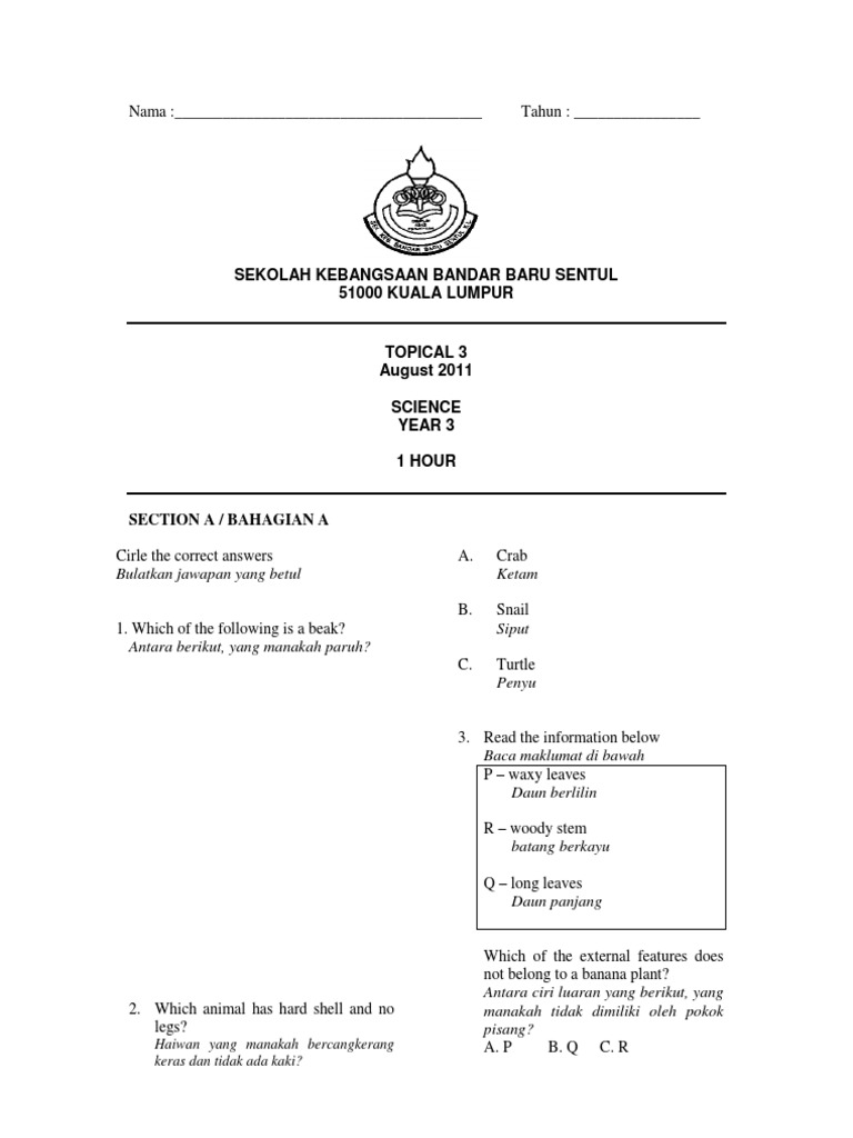 Science Year 3 Assessment Guide | PDF