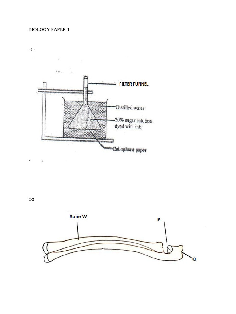 Biology Diagrams | PDF