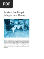 Struktur Dan Fungsi Jaringan Pada Hewan  Vertebrata  
