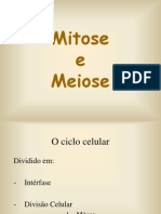 mitose_meiose