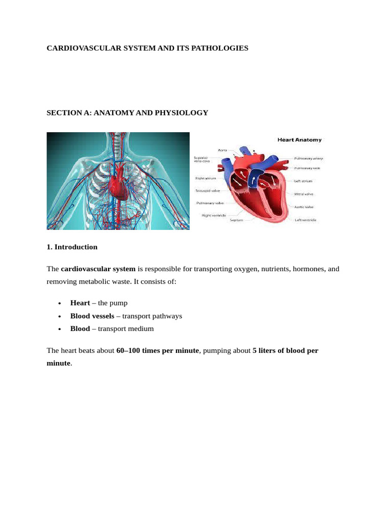 CARDIOVASCULAR SYSTEM AND ITS PATHOLOGIES FINAL | PDF | Myocardial ...