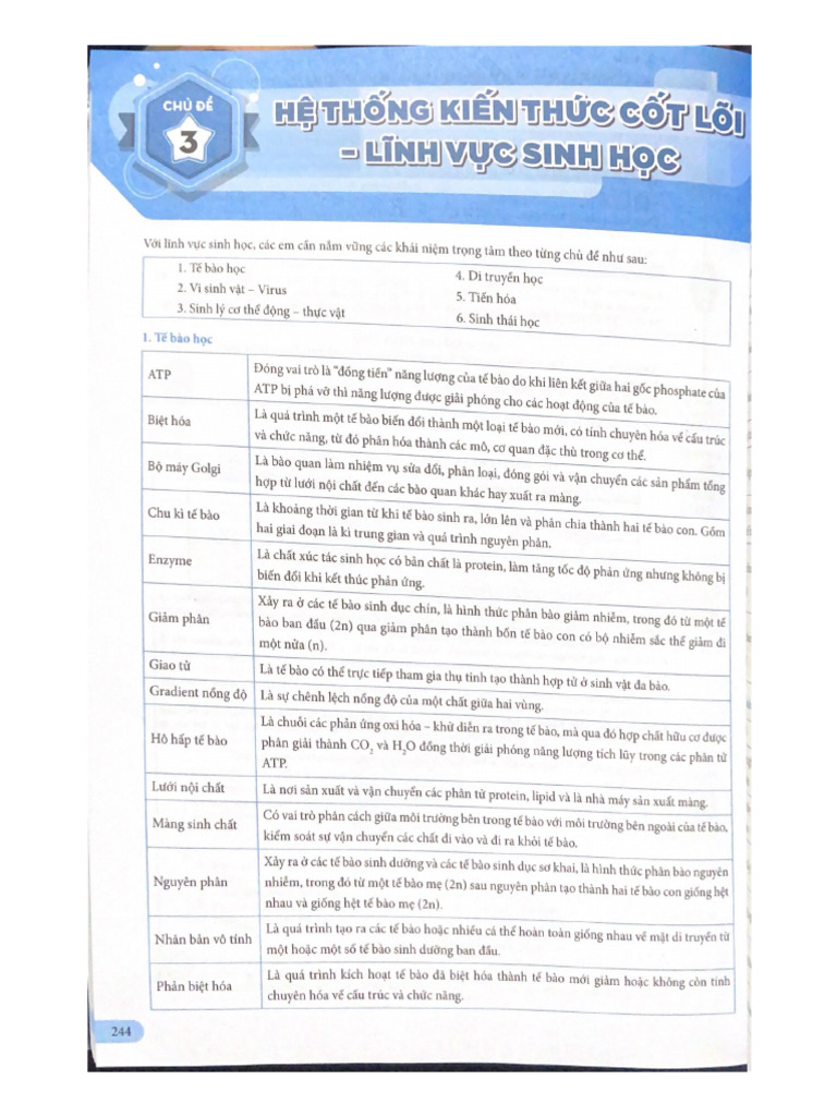 Sinh | PDF