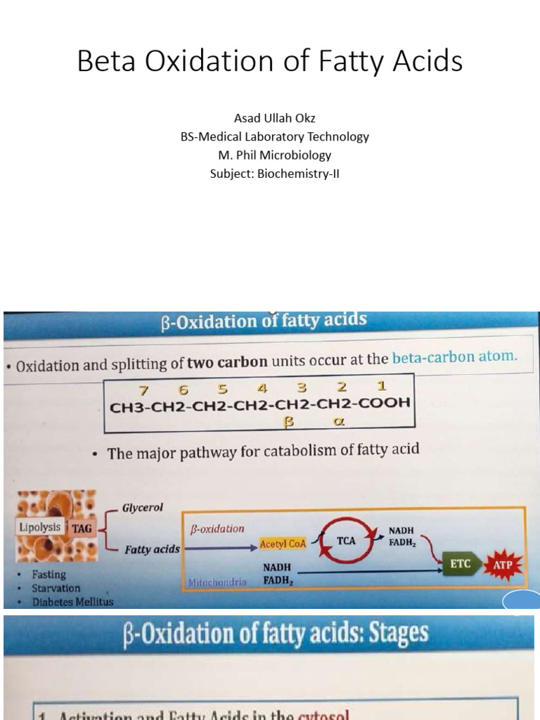 Beta Oxidation of Fatty Acids | PDF