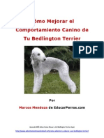 Cómo Mejorar El Comportamiento Canino de Tu Bedlington Terrier
