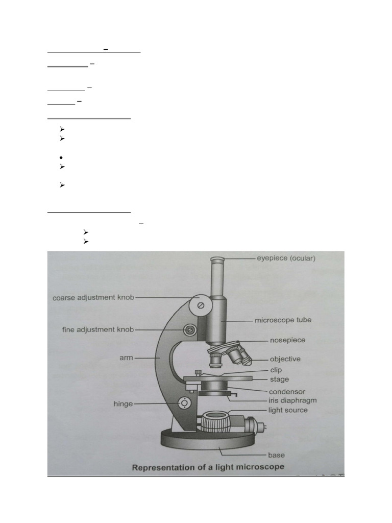 Microscopy Week 2 Notes | PDF