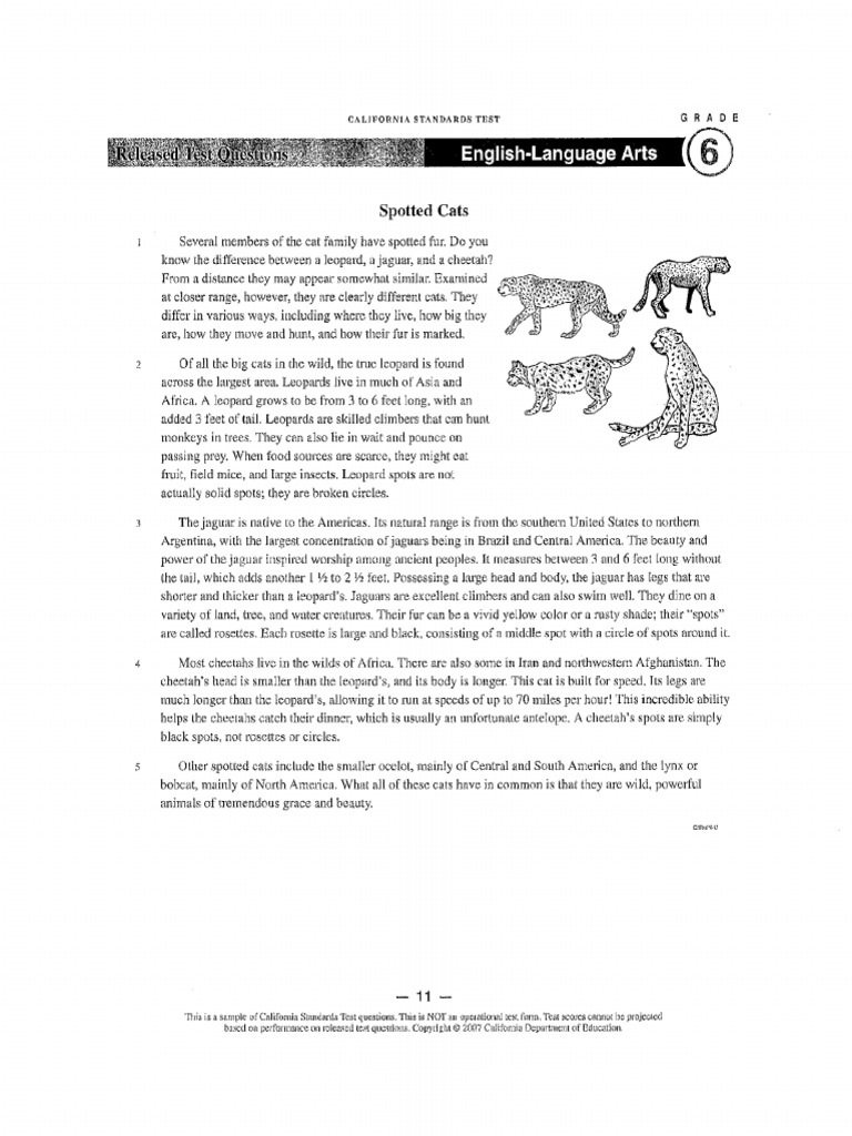 6th Grade Reading | PDF | Leopard | Jaguar