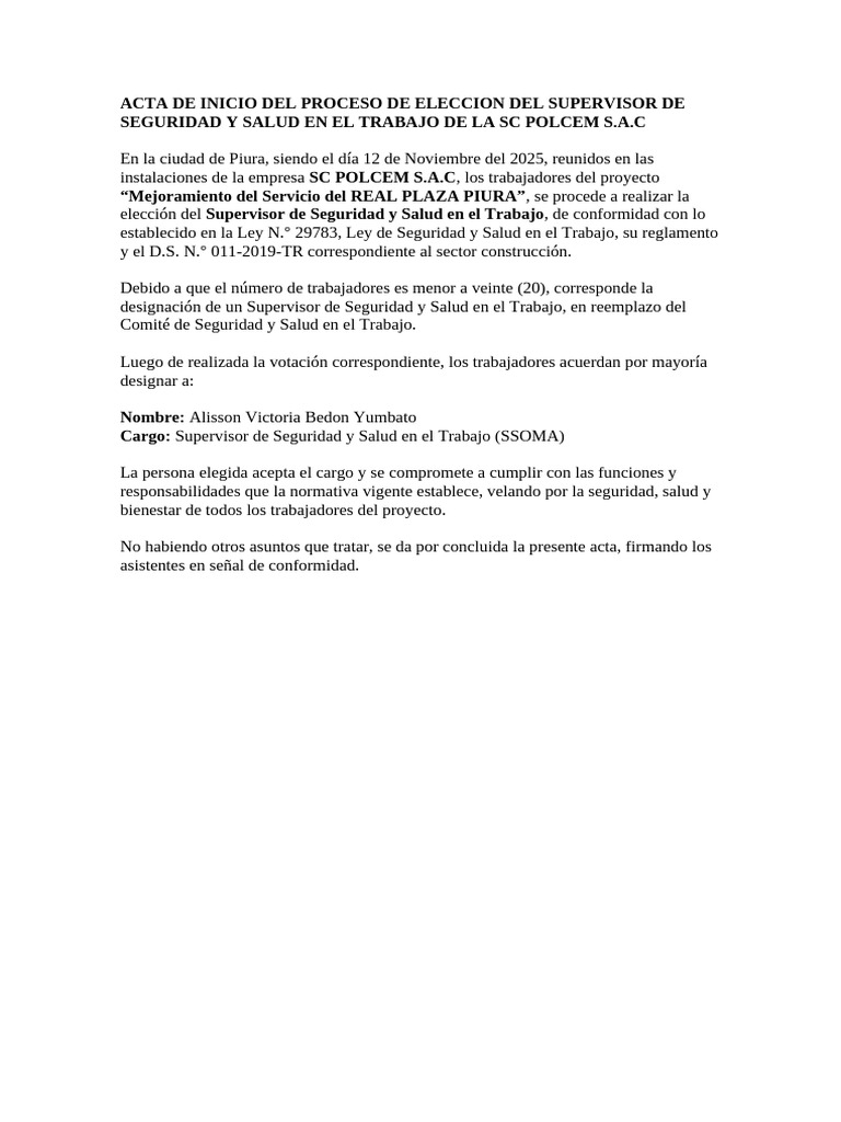 Acta de Inicio Del Proceso de Eleccion Del Supervisor de Seguridad y ...