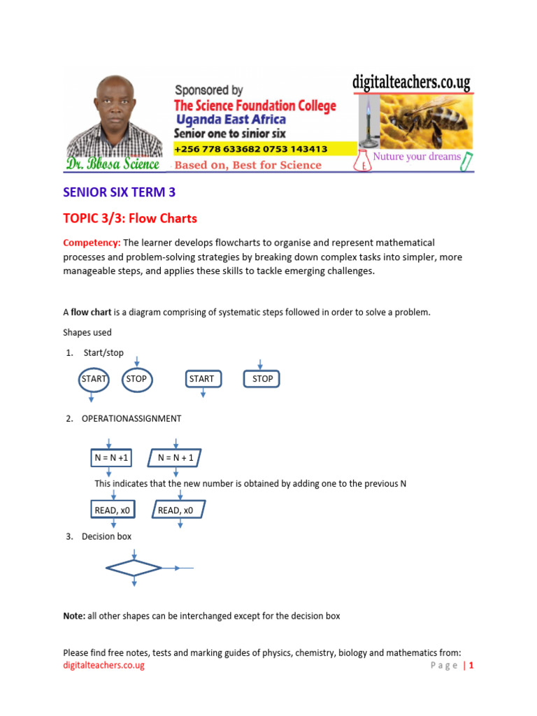 A Level New Curriculum Mathematics SVI Topic 27 Flow Charts | PDF