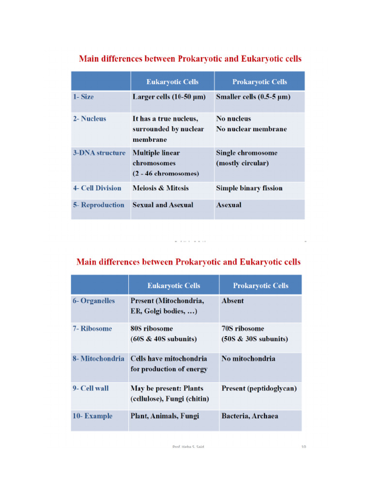 Tables Micro | PDF