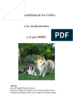 Collies Medicamentos Mdr1