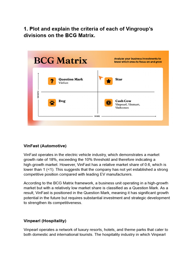 BCG Matrix Report | PDF