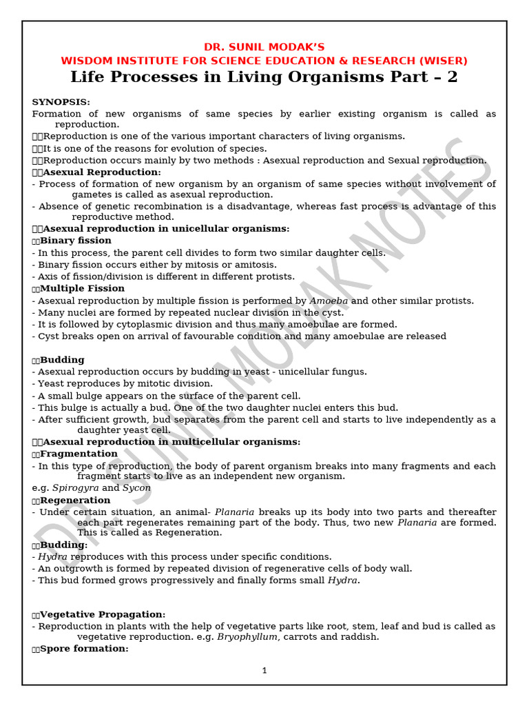 Chapter 3 Life Processes 2 Full Notes | PDF