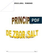 Curs Principii de Zbor Salt