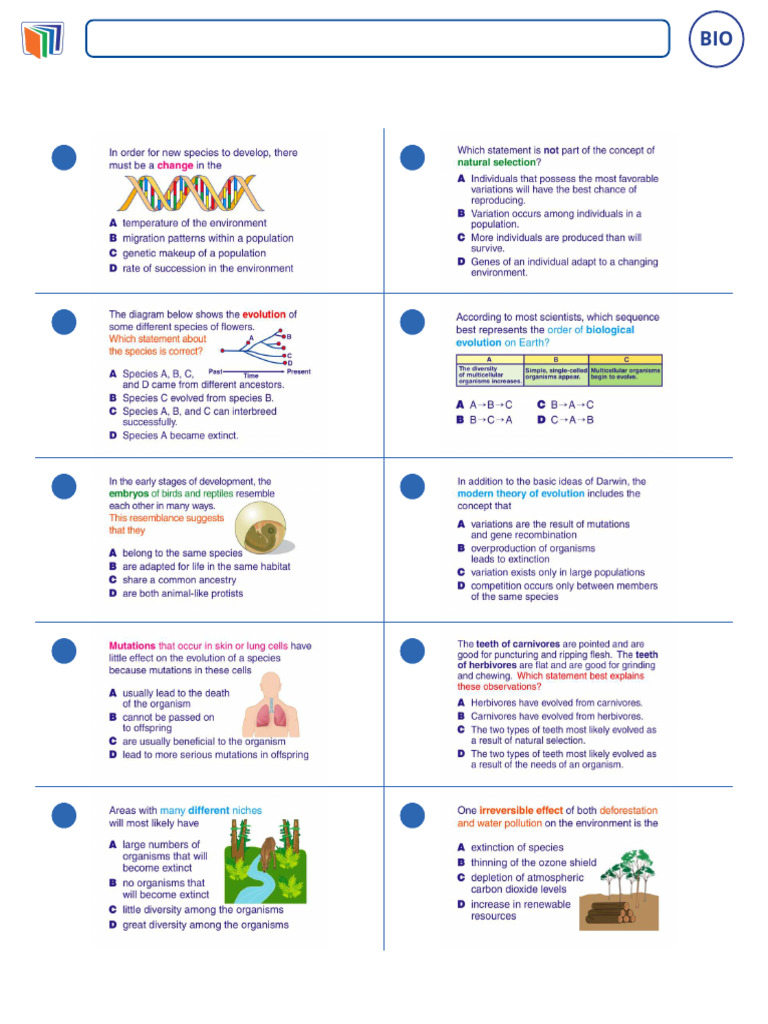Worksheet Biology High School Evolution and Classification 2 | PDF
