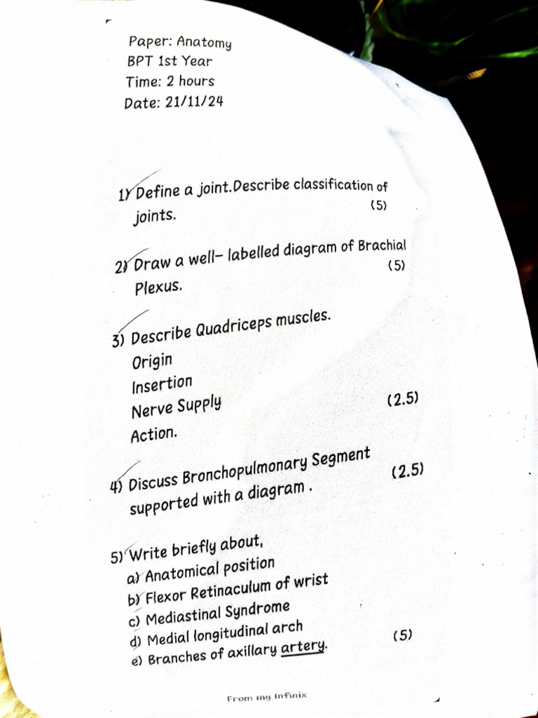 Internals Paper Bpt 1st Yr Batch 2024 | PDF