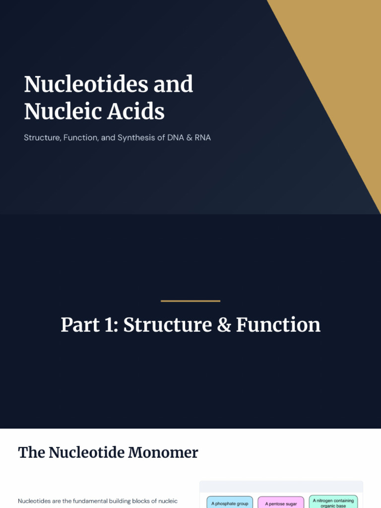 Nucleotides and Nucleic Acids | PDF